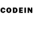 Псилоцибиновые грибы GOLDEN TEACHER Jack Andrey