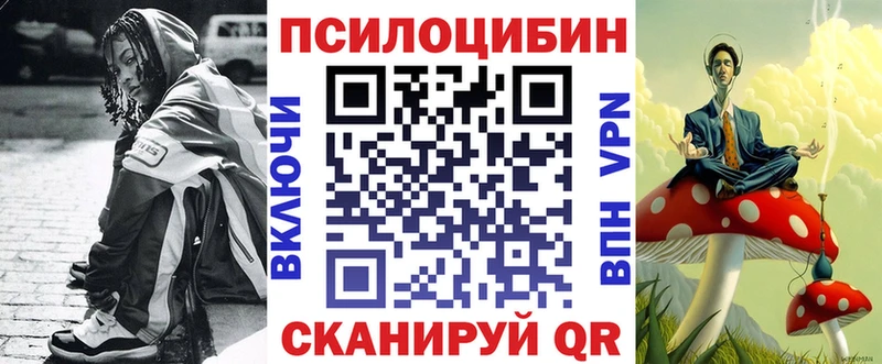 KRAKEN сайт  Кингисепп  Галлюциногенные грибы Psilocybine cubensis 