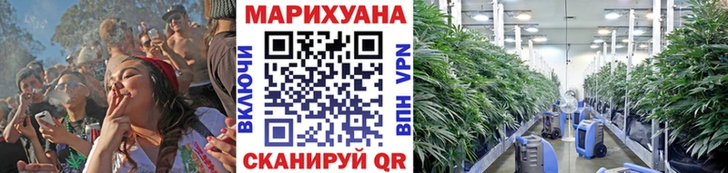 где можно купить наркотик Кингисепп Бошки Шишки THC 21%